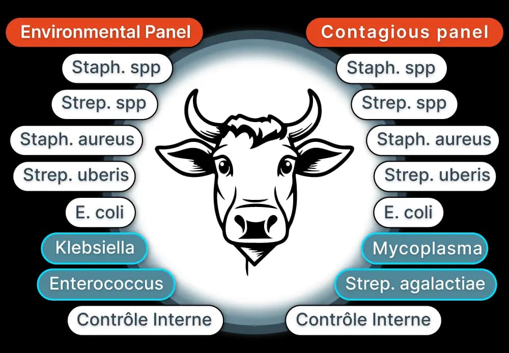 Pathogens Diagram